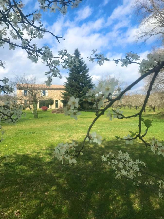 La Bergerie Des Amandiers Chambres Et Table D'Hotes Malataverne Esterno foto